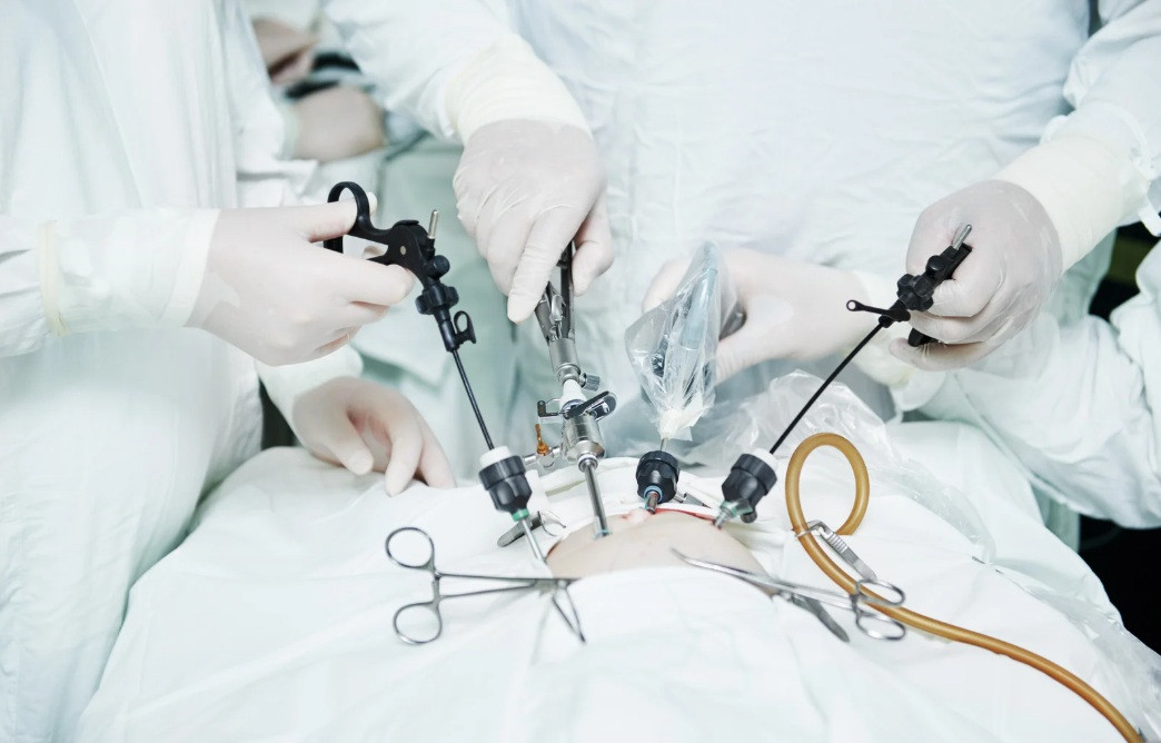 Toracoscopia e laparoscopia nível II – Suturas e procedimentos intermédios